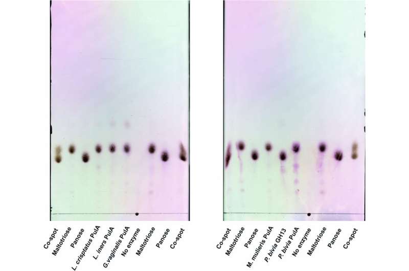 Chemical analysis brings understudied vaginal microbiome into sharper focus